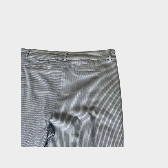 Hilary Radley Blue and White Striped Capris - Picture 4 of 8